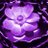 kim1231ct's profile image