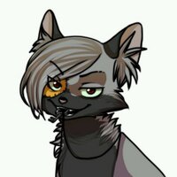 Ivypool18 (@ivypool18) 's Twitter Profile