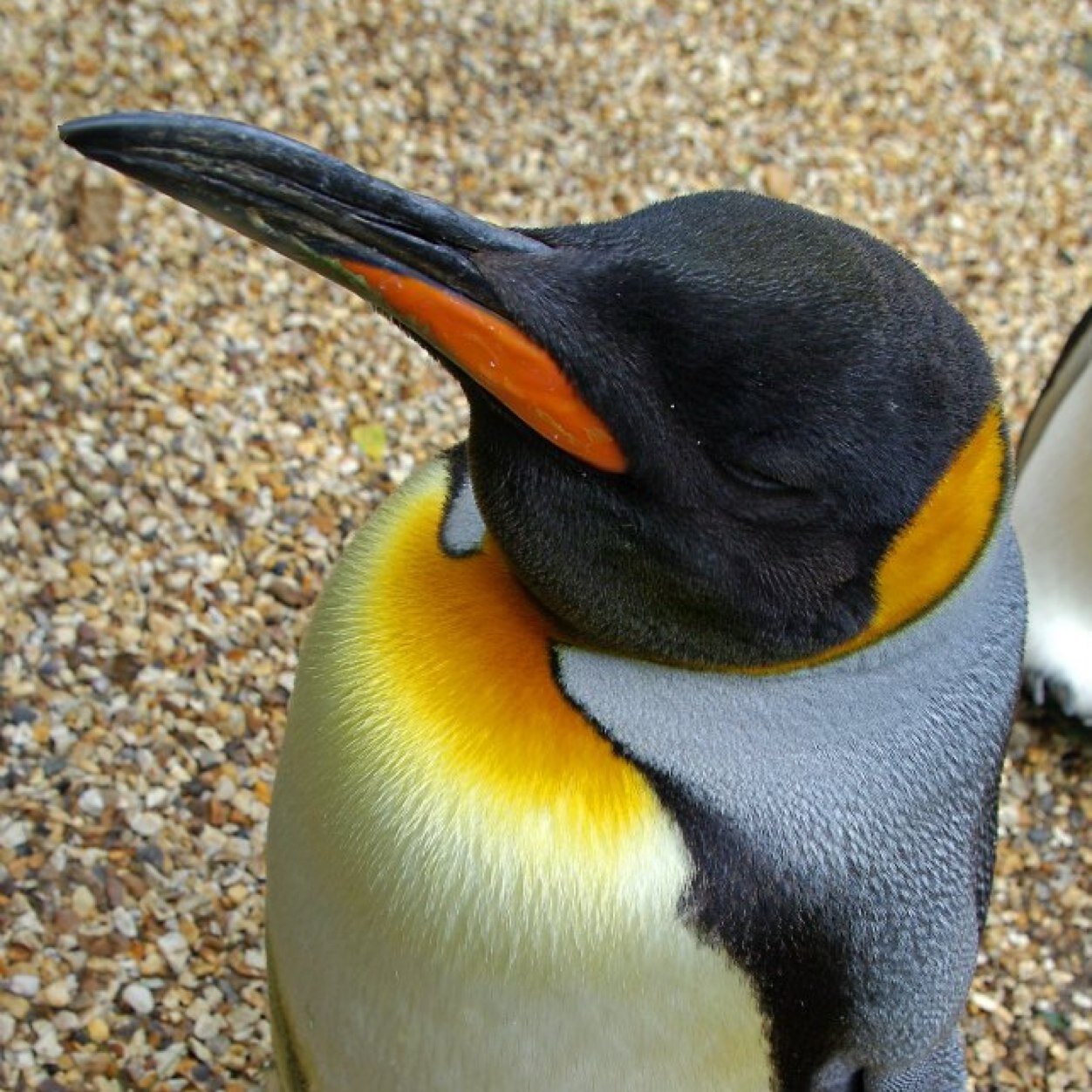 GeographyHHS's profile picture. Tweets from Hadleigh High's Geography Department - we will be sharing geography in the news, interesting photos, what you should be watching and other stuff....