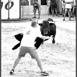 Cacholamen's profile picture. 