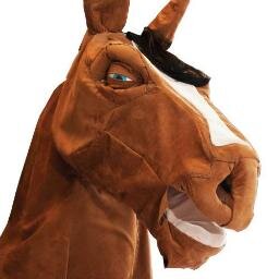 VliegendePaard's profile picture. De grootste studentenkamer van Zwolle! Twitter gebruiken we niet meer. Check ons op Facebook!