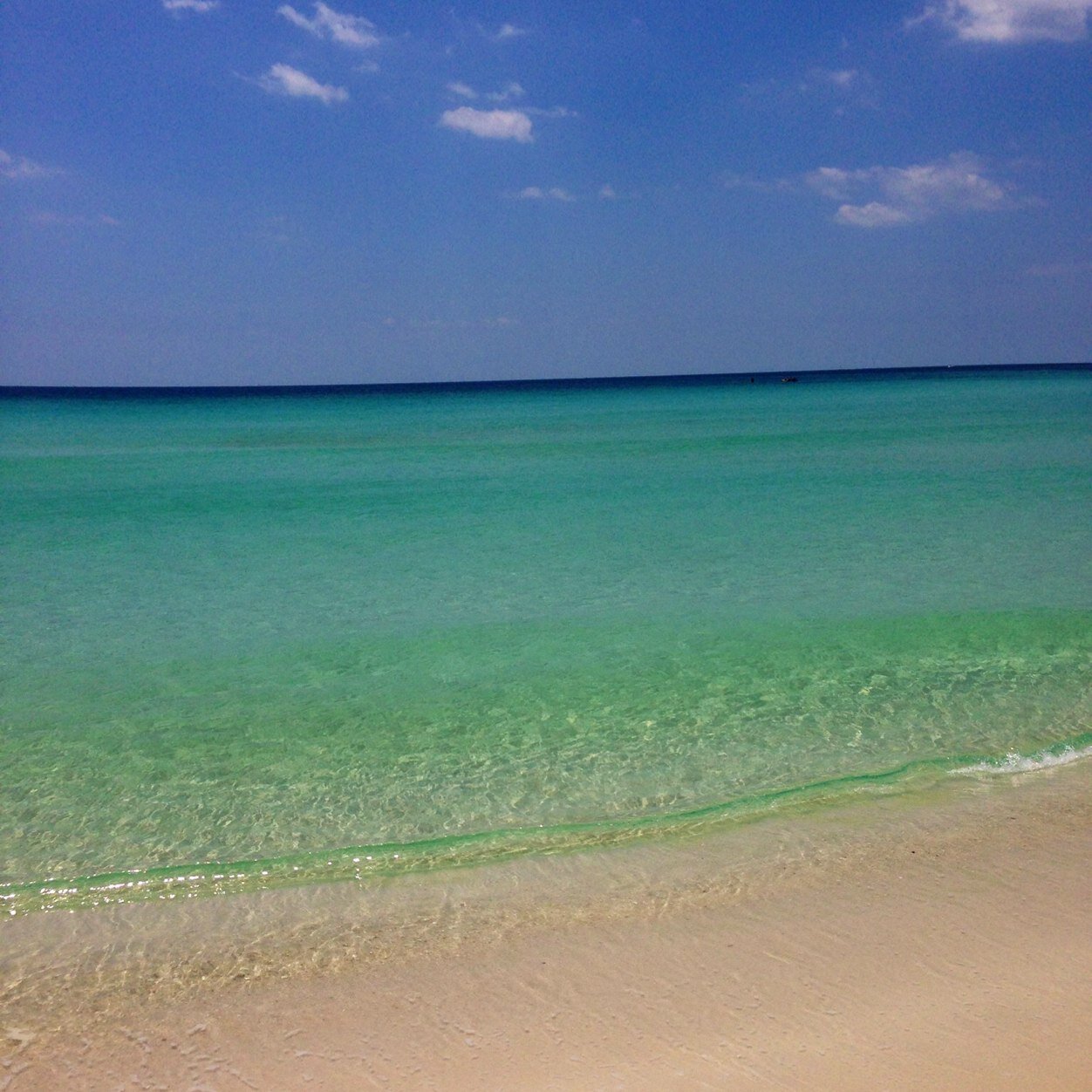 carson_lillian's profile picture. 