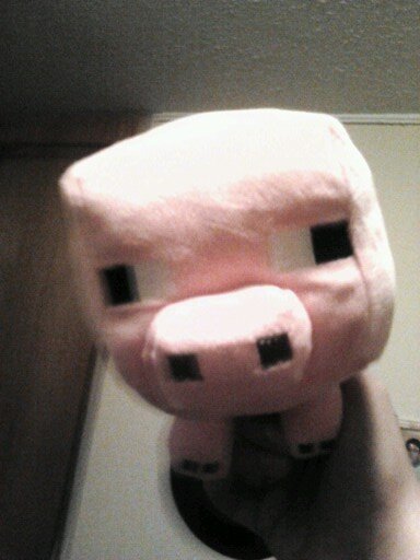 sebaXDlol1's profile picture. 