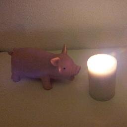 I am a pig and would like to share my skills :8). http://t.co/cwAVhGFLsd