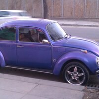 Cemile Aylin Arslan (@cemileaylinarsl) Twitter profile photo