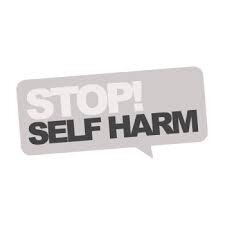 Me and my friends campaign is self harm. We feel it is a big issue to this generation. We would like to help to give tips, advice.