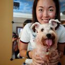 Sharon Soon - @SoonSharon - Twitter