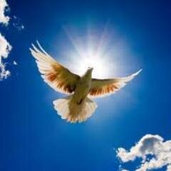 xifangtsk's profile picture. love galaxy, live on earth, RiP in Pureland