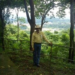 NunezTeodoro's profile picture. 