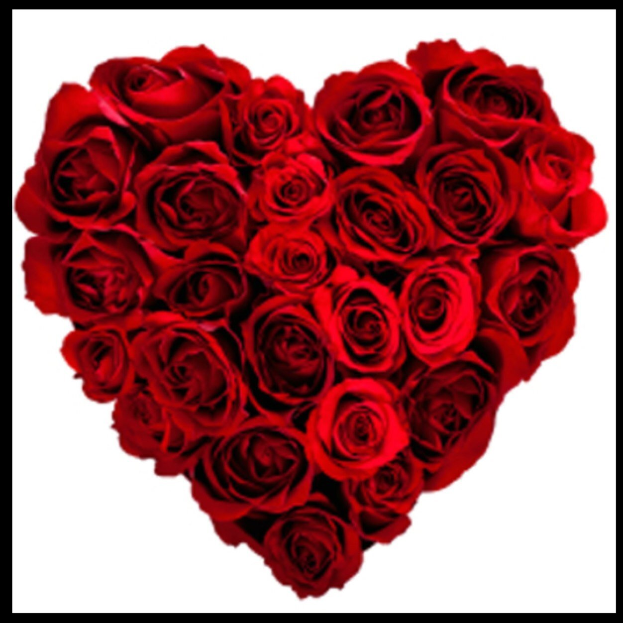 kimavsenik's profile picture. Integrity is doing the right thing, even if no one is watching