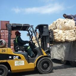 ADOLTISA's profile picture. 