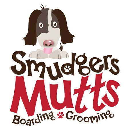 SmudgersMutts's profile picture. Professional Dog Grooming & Home Boarding in Cheltenham.
