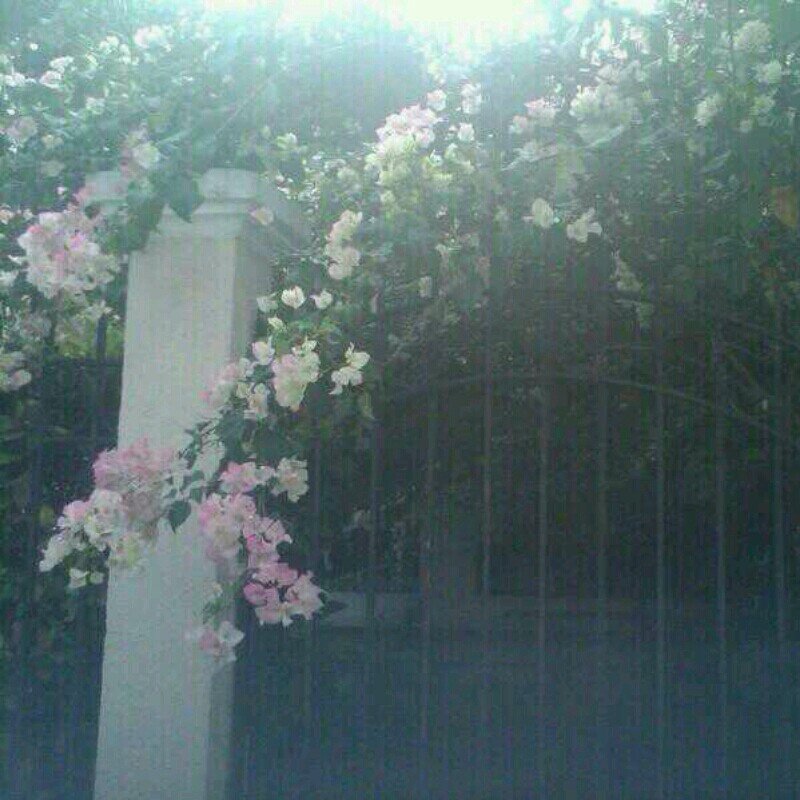 جميل يكون التايم لاين فيه ذكر الله ..