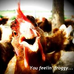Rock Out with Your Rooster Out!