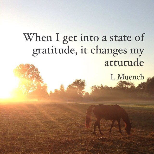 Horses_Empower's profile picture. Equine Experiential Specialist, Facebook page Horses Empower follow me @CowgirlProse on Twitter