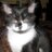 cahill_ny's avatar