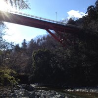 早蕨 (@sawarabi_ao) 's Twitter Profile