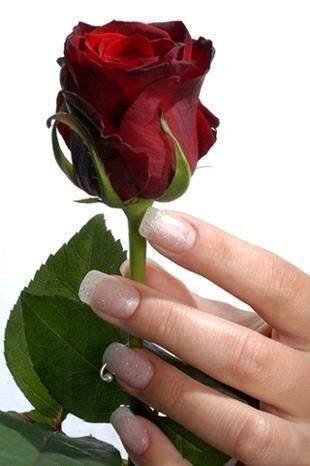 MohammedAlNabh5's profile picture. 