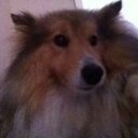 Millie Doyle - @TheRealMillie14 - Twitter