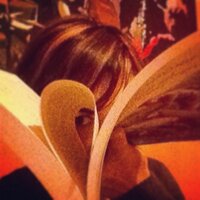 Flavia Bellotto (@fl_bell) 's Twitter Profile