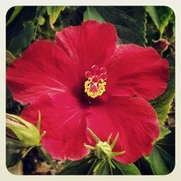 RachelTheRamblr's profile picture. Tweeting about all things related to rambling! Follow me tweeting for @ramblrramblr too!  #PNW #nature #outdoors #travel #photos