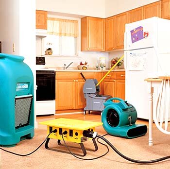 Water Damage Restoration, sewage extraction, Drying and Dehumidifying, 
Evaluating the mold damage affected areas , mold remediation, Carpet cleaning.