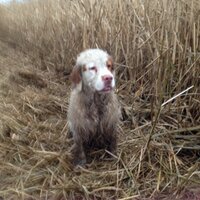 Helen Holman (@holmanhelen) 's Twitter Profile