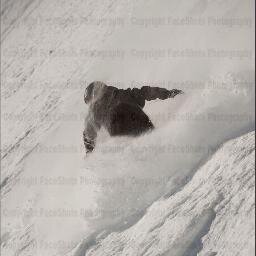 cardinalbison's profile picture. 