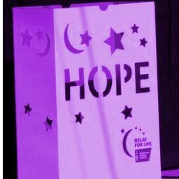 Relay for Life is the largest fund-raising event for the American Cancer Society. The Mt Juliet Relay will be held Saturday October 1, 2016 from 2-10pm