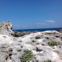 SPSSI UN Committee (@spssi_un_ngo) 's Twitter Profile