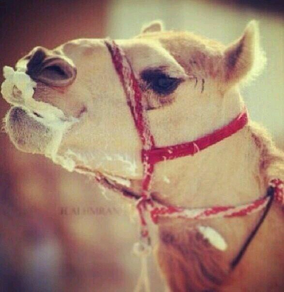 h3136779's profile picture. 