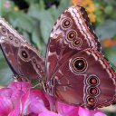 fatma duran - @fatmaduran94 - Twitter