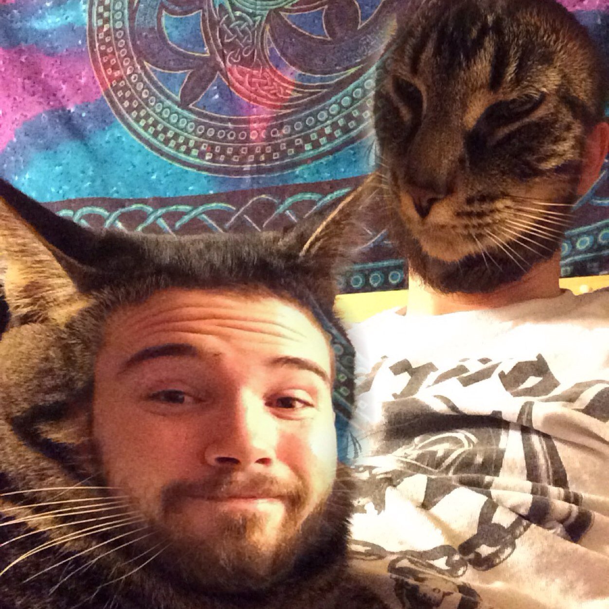 Heavy Metal. Pizza. Beer. Beard. Sex. Movies. Fire. Cats. Thats me.