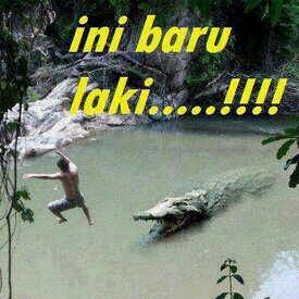 Kadang ku hanya ingin menatap matamu,
karena hanya itu bagian darimu yang tak
pernah bisa bohong | orang kampung yang tinggal dikota!!