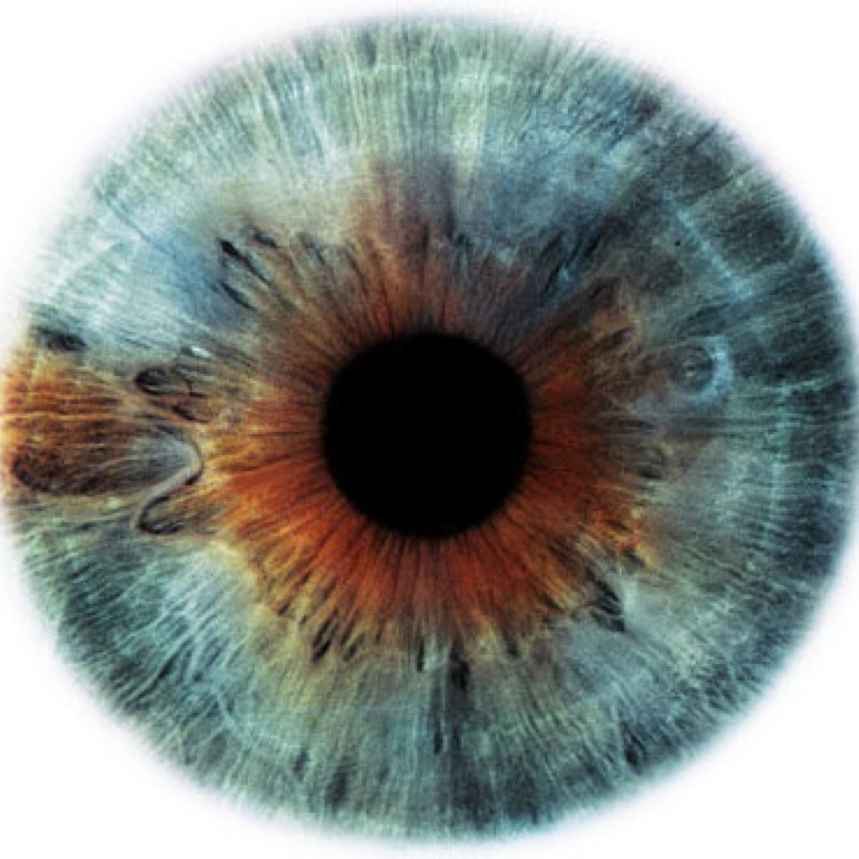 must_hate's profile picture. Сумасшедший киноман. Книголюб.
Мартин.