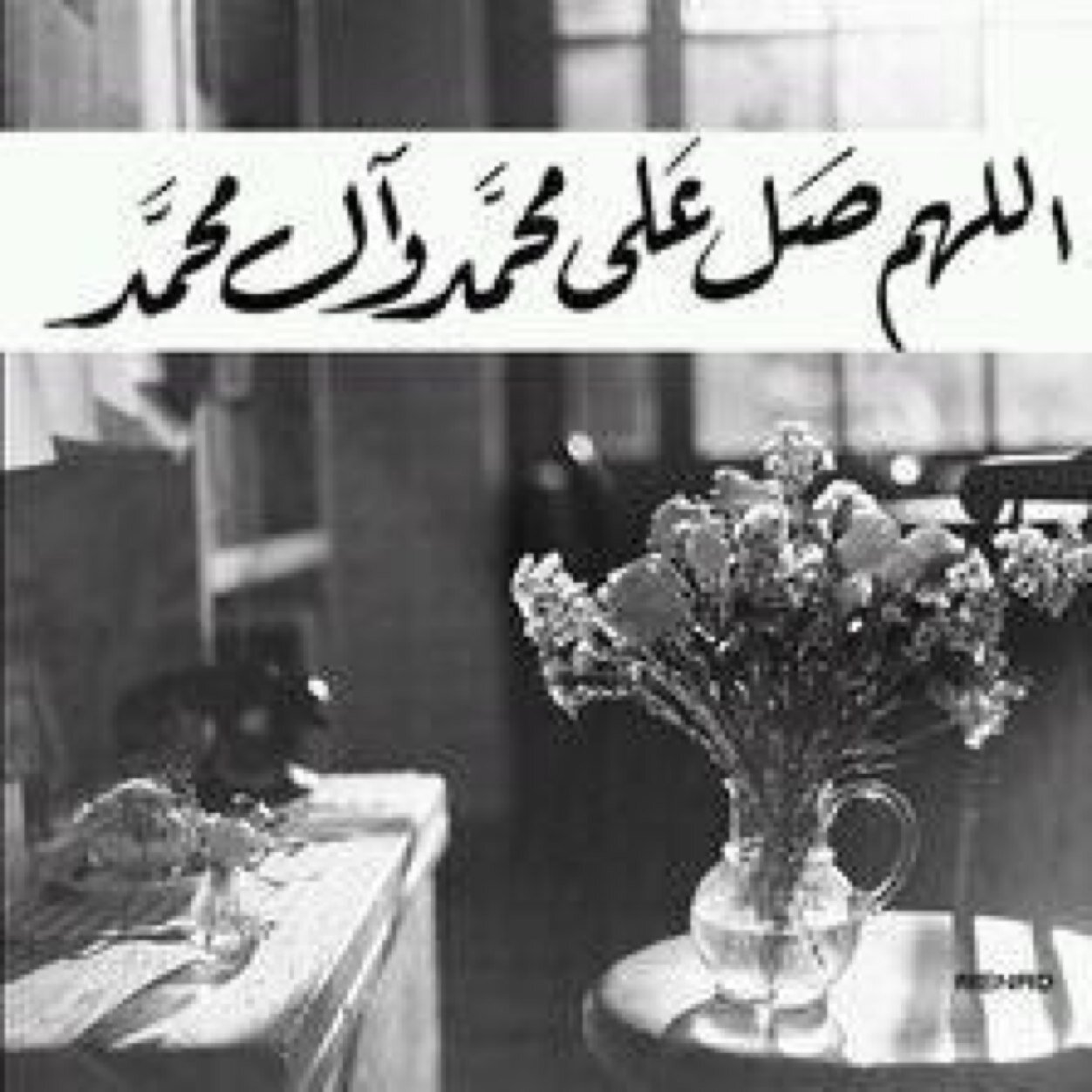 بِقدْرِ سِعة السمآاء أِشْرَحْ صُدُورَنَا يَالله...لا اله الا انت سبحانگ اني كنت من الضالمين