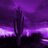 azlee56's profile image