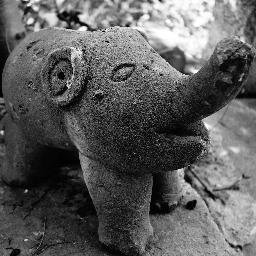 7homasM's profile picture. Relativiste pragmatique à tendance optimiste #Nantes #SyndicPartieCommune