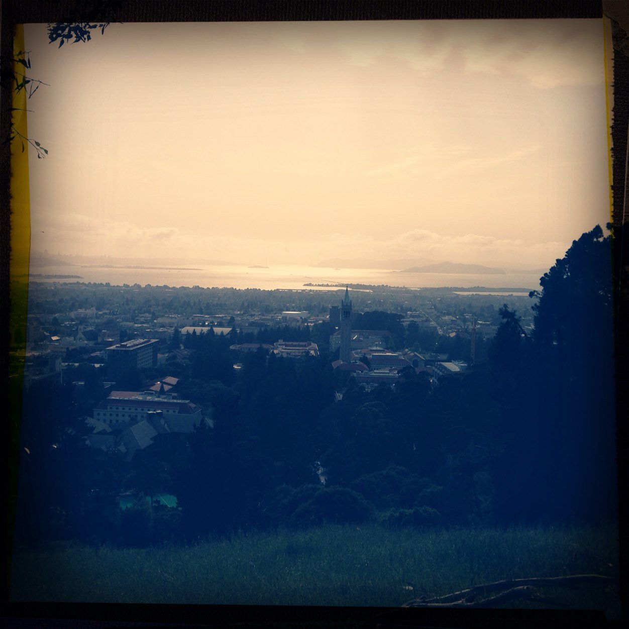 MoniqueBhargava's profile picture. Advertising/Media/Privacy Lawyer | Cal and Illini Alum | Views are my own