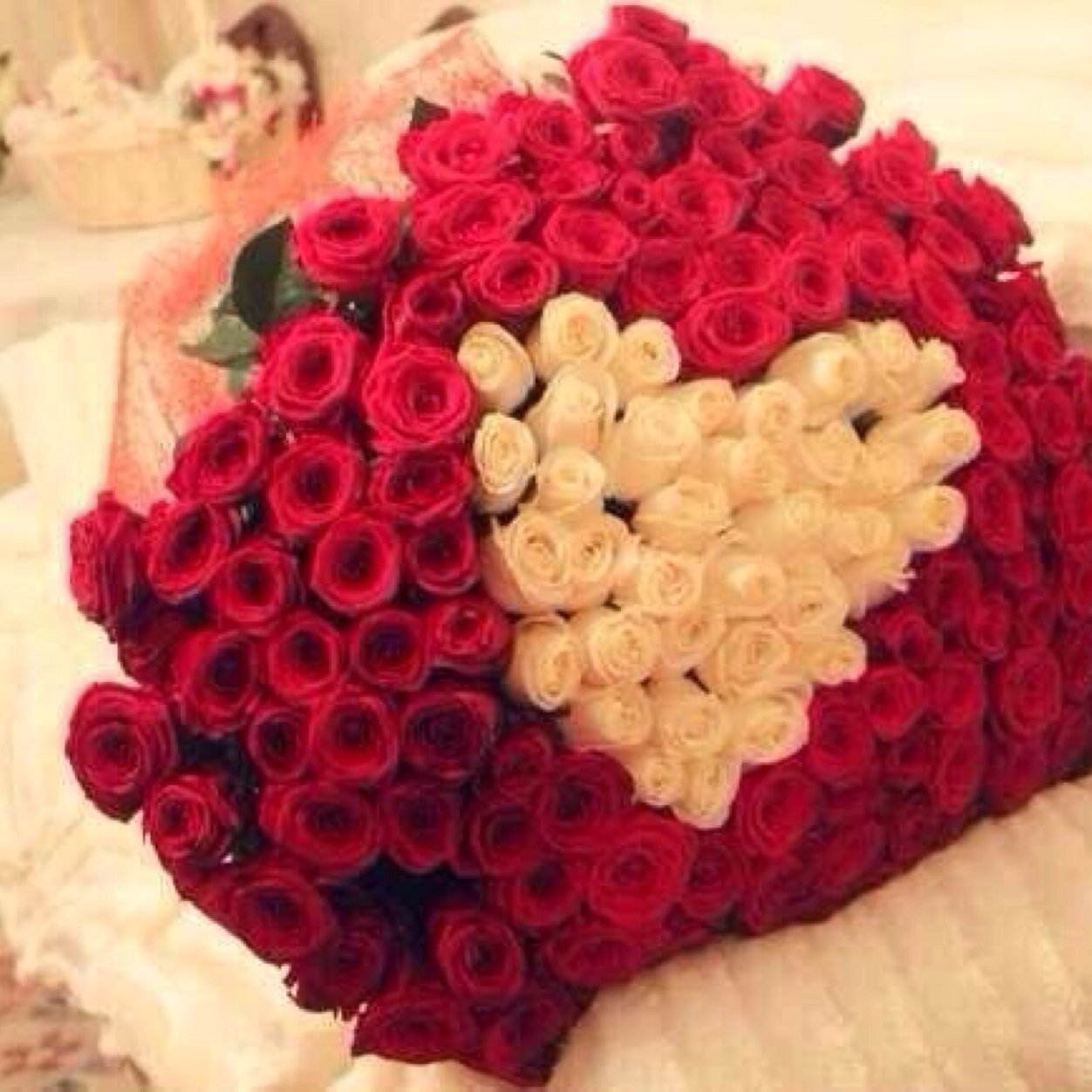 MimiyoX3's profile picture. . New account