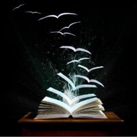 صدر حديثًا.. (@newbook33) Twitter profile photo