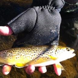 urbanflyy's profile picture. We Fish; What else do you need?