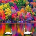 Carl Broadbent - @dcbgold - Twitter