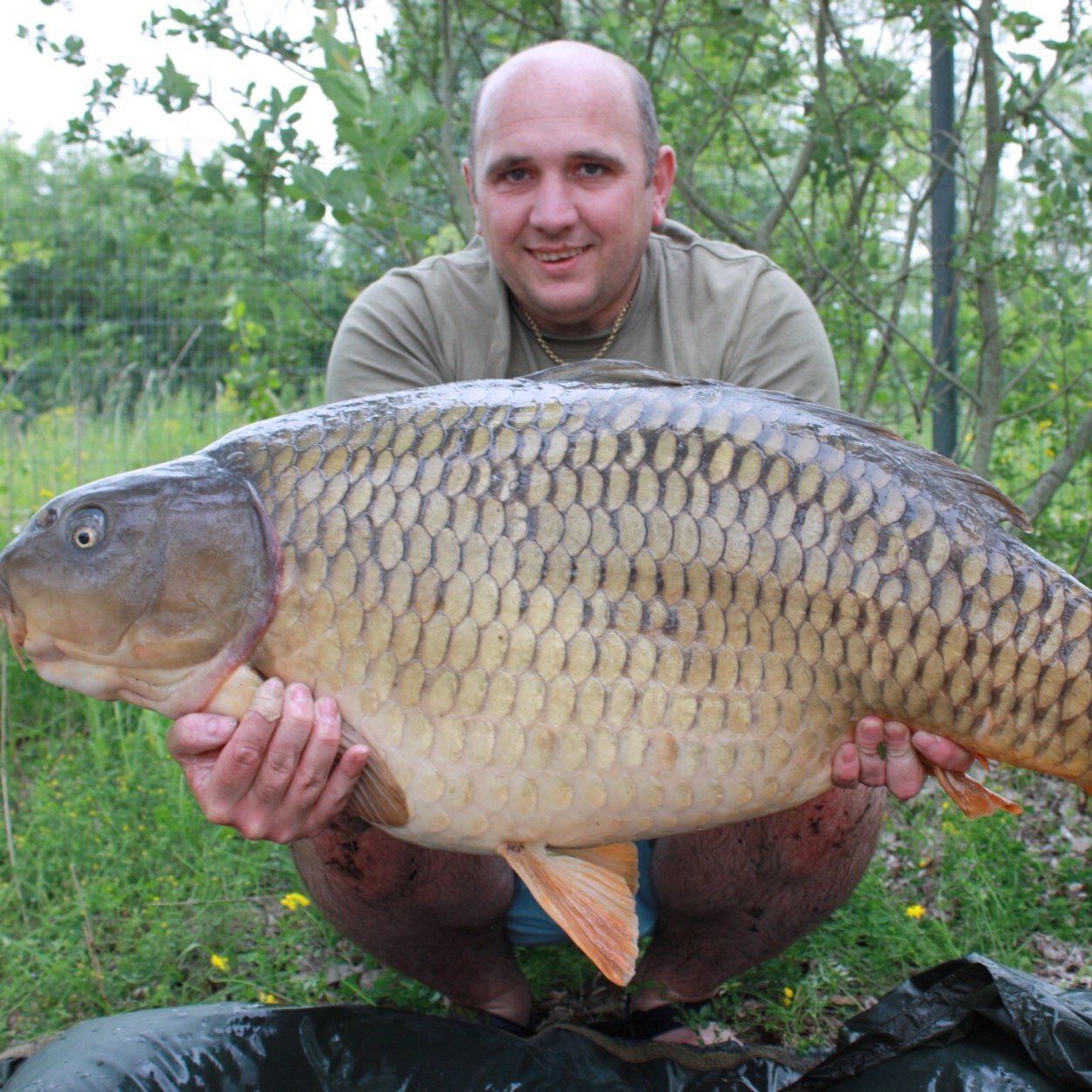 co-owner of Talking carp magazine, team member of Mainline baits, Castaway PVA consultant,PB’s - common 58lb 2oz.mirror 42lb9oz catfish 110lb sturgeon 107lb