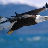 360° Leadership (@360leadership) 's Twitter Profile Photo 360° Leadership (@360leadership) 's Twitter Profile Photo