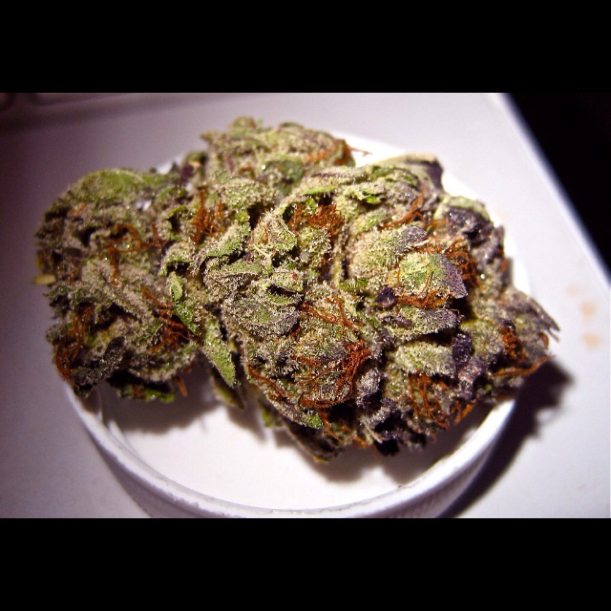 Send me your nug pics