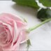 فاطمة العبود (@666fatima666) Twitter profile photo فاطمة العبود (@666fatima666) Twitter profile photo