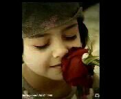 hamdmrodsoso's profile picture. 