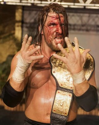 fanatico a la wwe y ufc