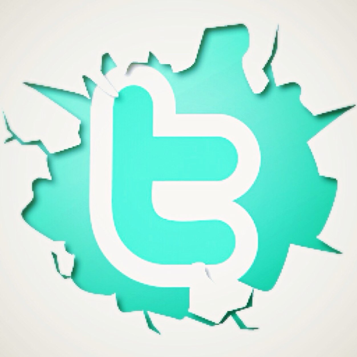 I follow back 100%